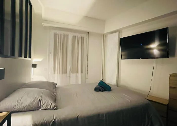 T1 Bis Cosy Et Spacieux - Wifi - Parking Gratuit Angers