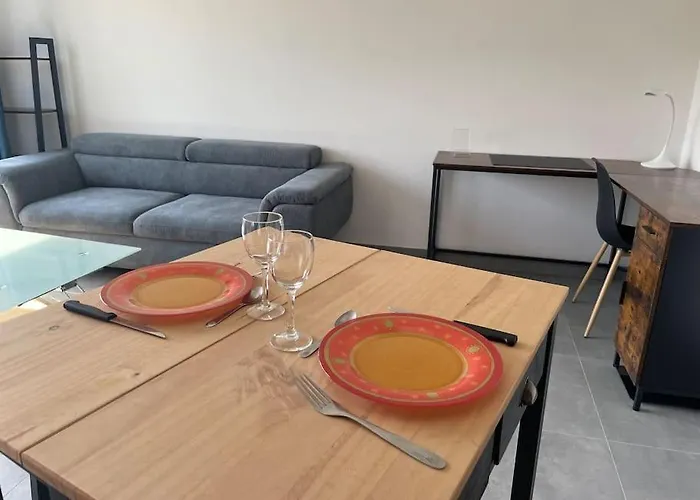 T1 Bis Cosy Et Spacieux - Wifi - Parking Gratuit *